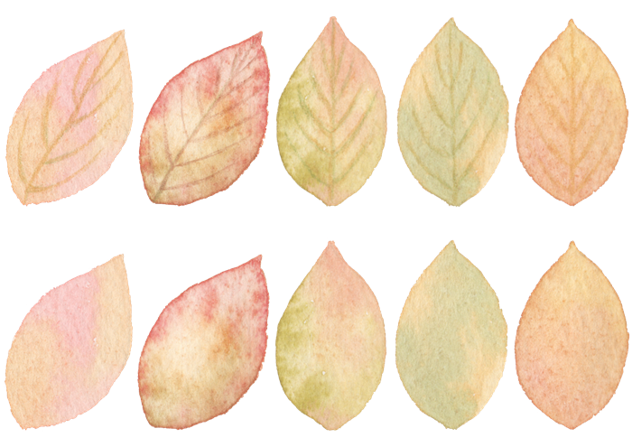 秋の葉っぱの水彩イラスト素材