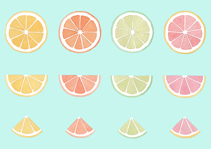 柑橘類の水彩イラスト素材