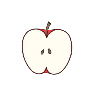 りんごの断面イラスト