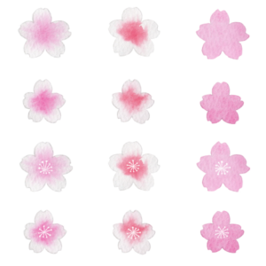 桜の水彩イラスト