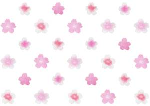 桜の背景イラスト