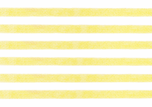 ボーダーの背景イラスト