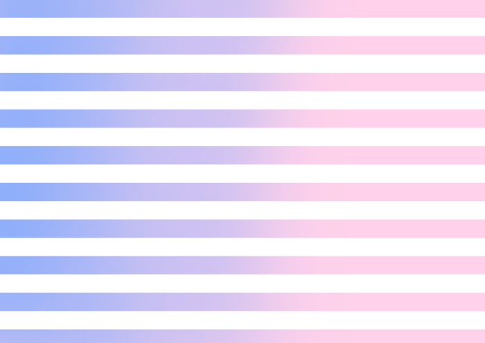 ボーダーのイラスト