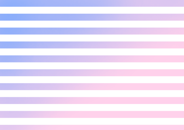 ボーダーのイラスト