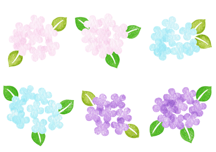 紫陽花の消しゴムはんこの素材